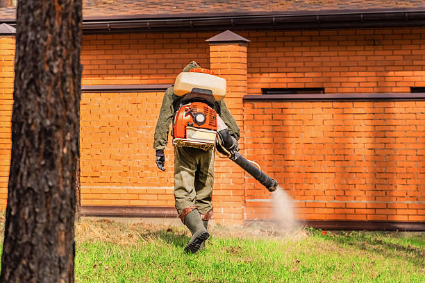 Trusted Termite Control service in Mountain Village, CO - Nex Pest Control
